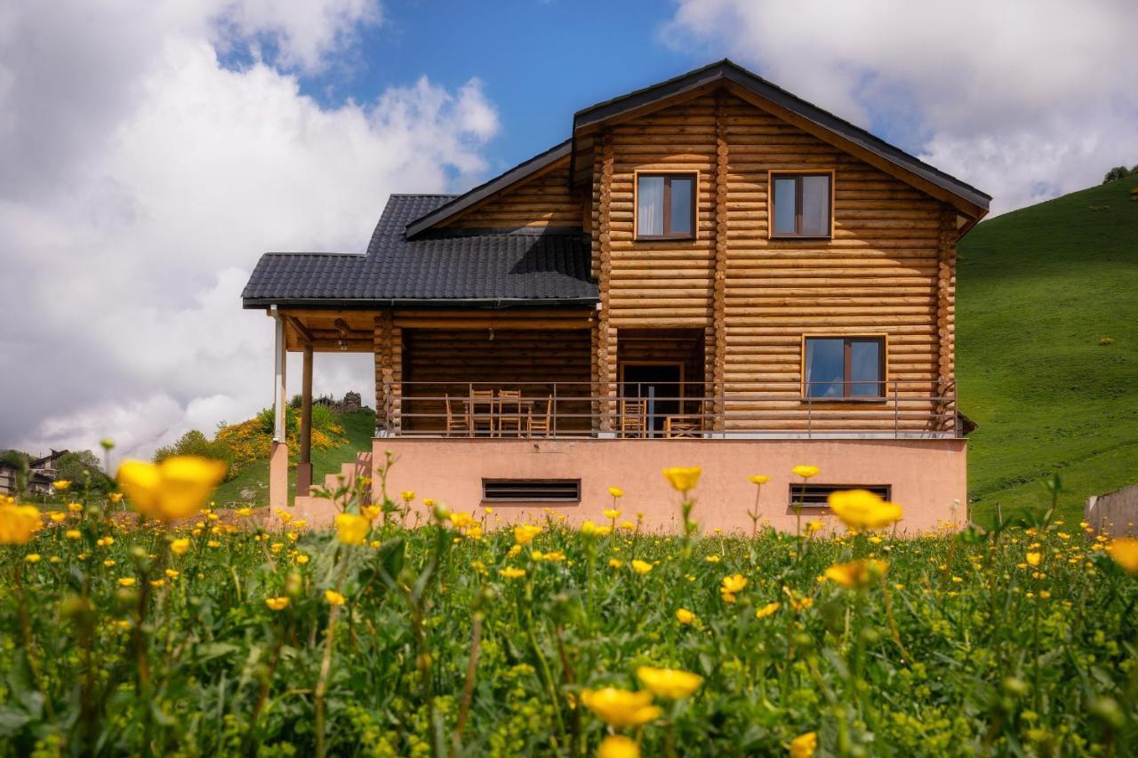Snow Time Eco Chalet غودوري المظهر الخارجي الصورة